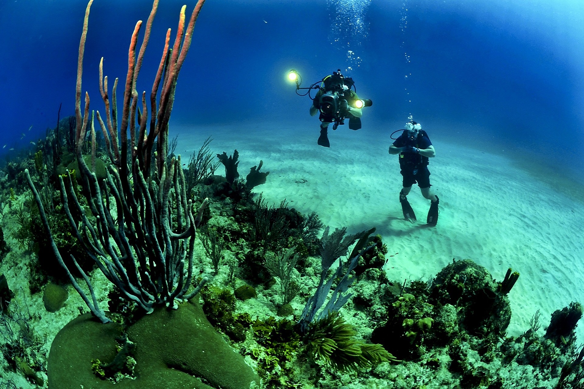 Scuba diving in the Adriatic