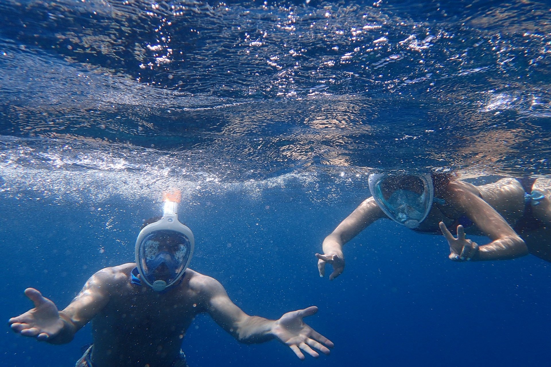Underwater marine life