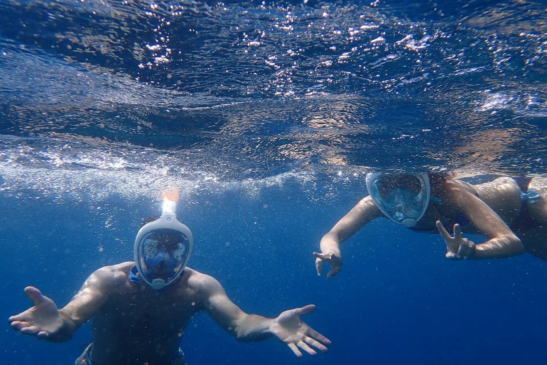 Underwater marine life